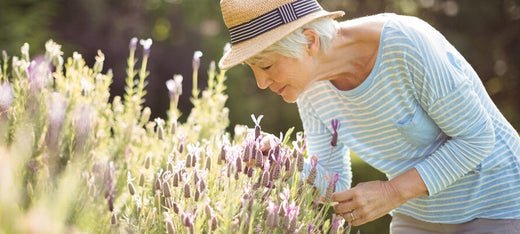 Nachtelijke geurverspreiding voor cognitieve gezondheid bij oudere volwassenen - AromaDiffusing