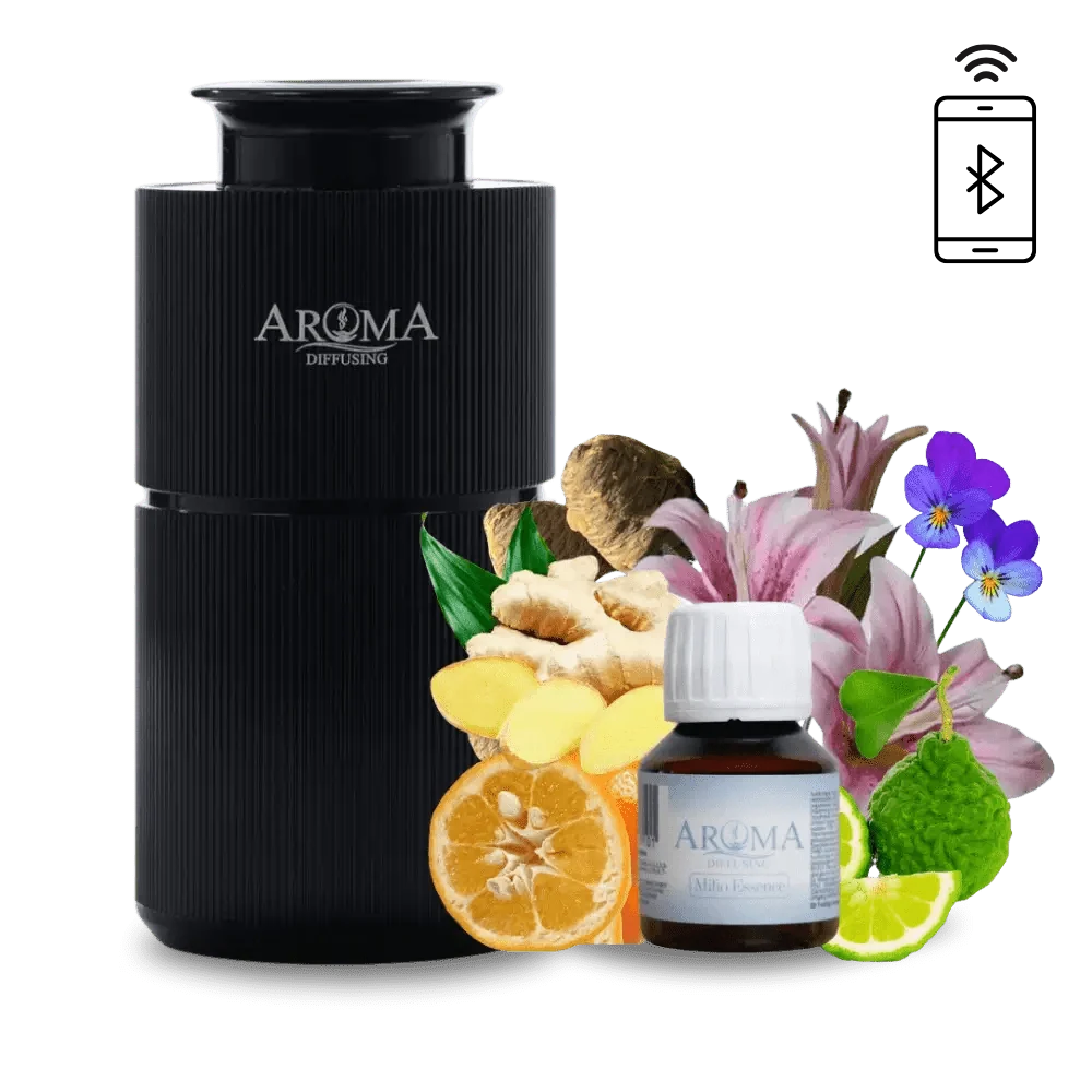 Luxury Holiday AromaDiffusing Mini (tot 25m²)
