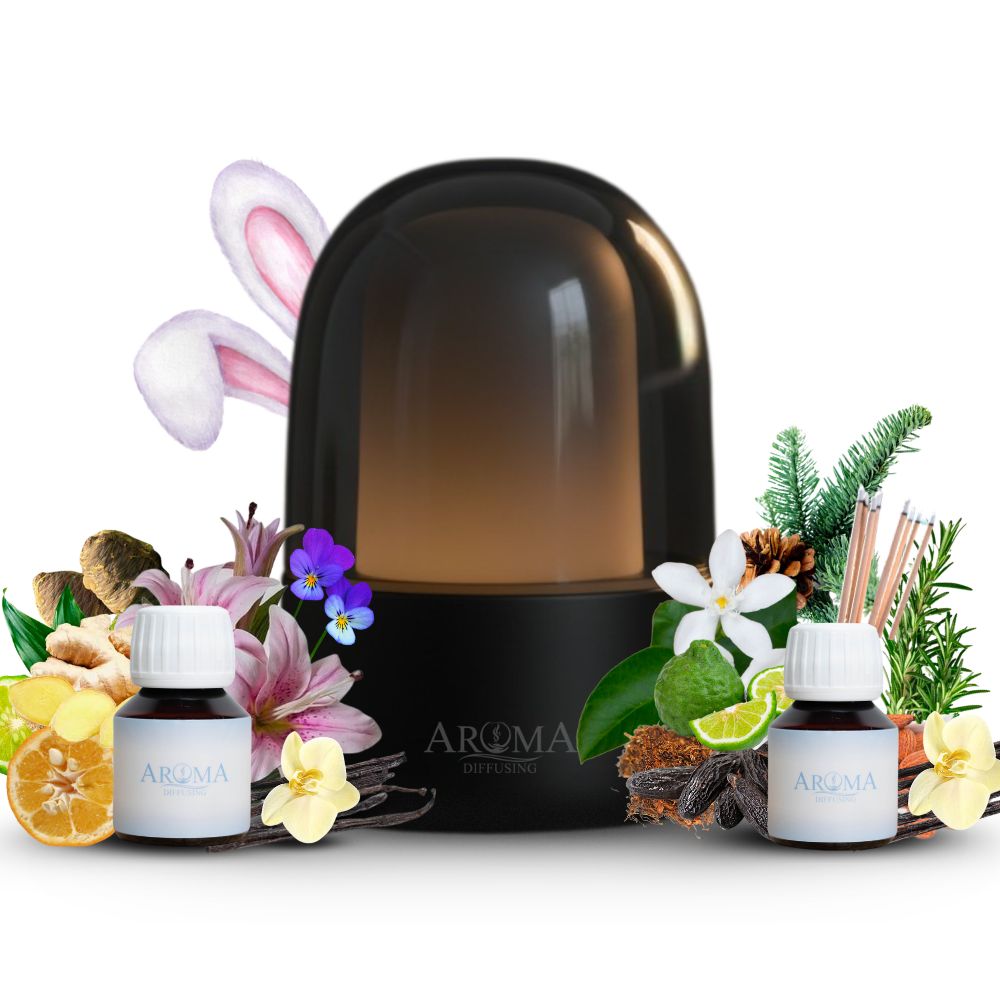 Exclusieve Vanilla Bundel