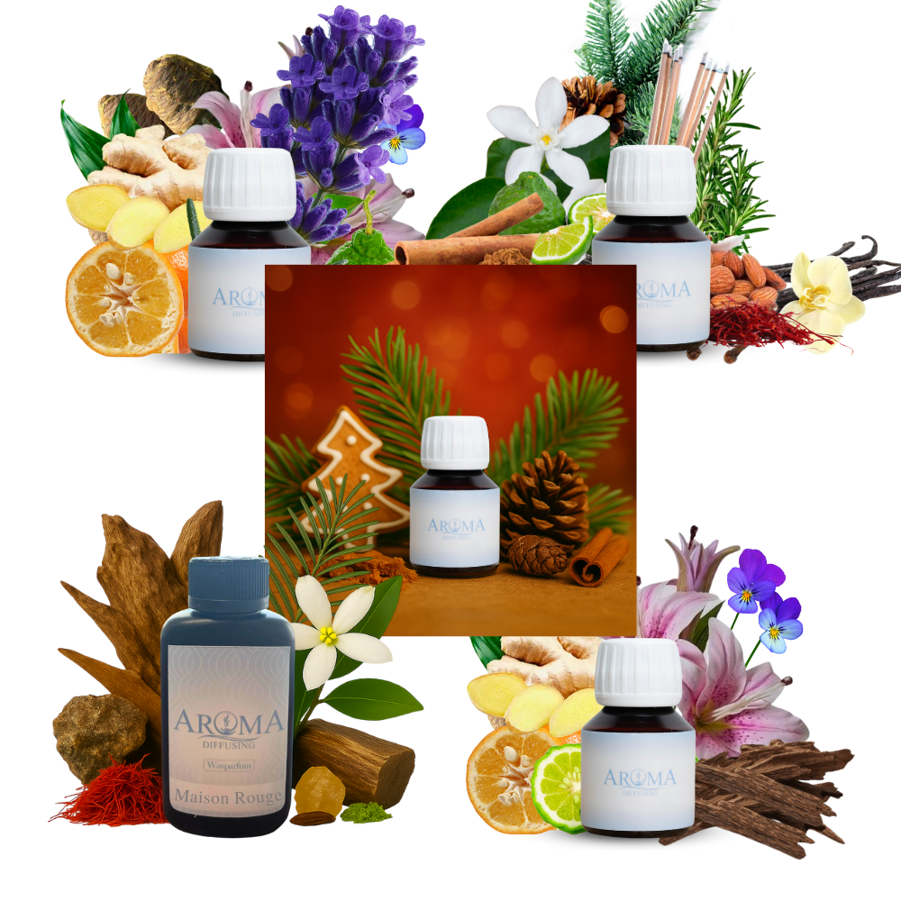 Nieuwe Geuren Discovery Bundel