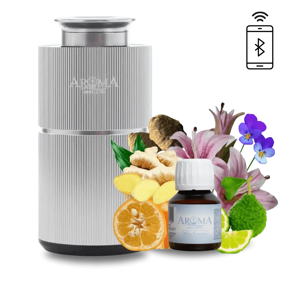 Luxury Holiday AromaDiffusing Mini (tot 25m²)