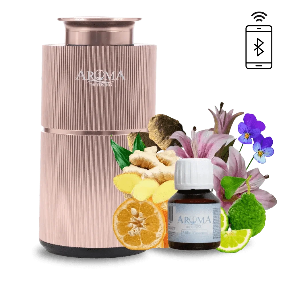 Luxury Holiday AromaDiffusing Mini (tot 25m²)