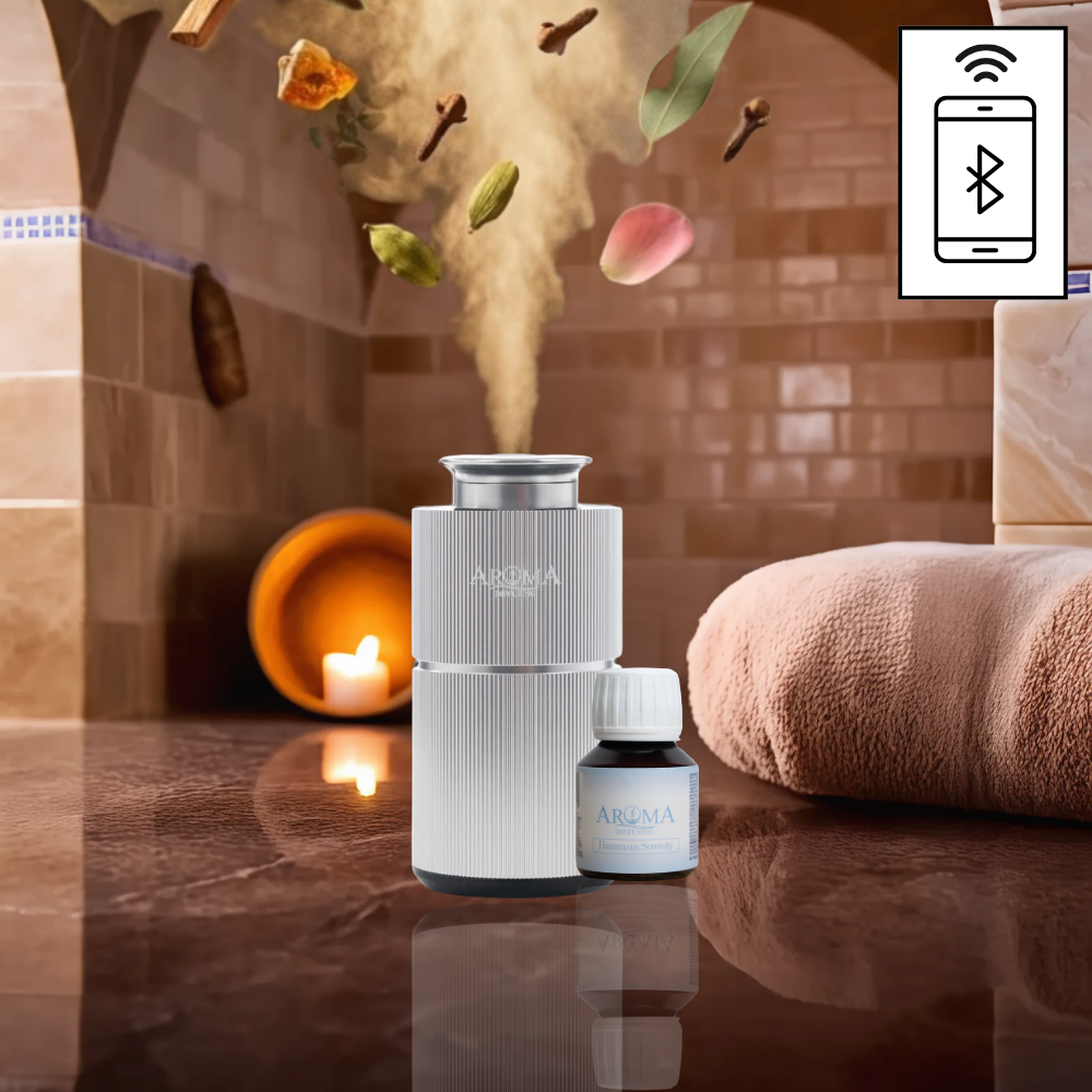 Luxury Holiday AromaDiffusing Mini (tot 25m²)